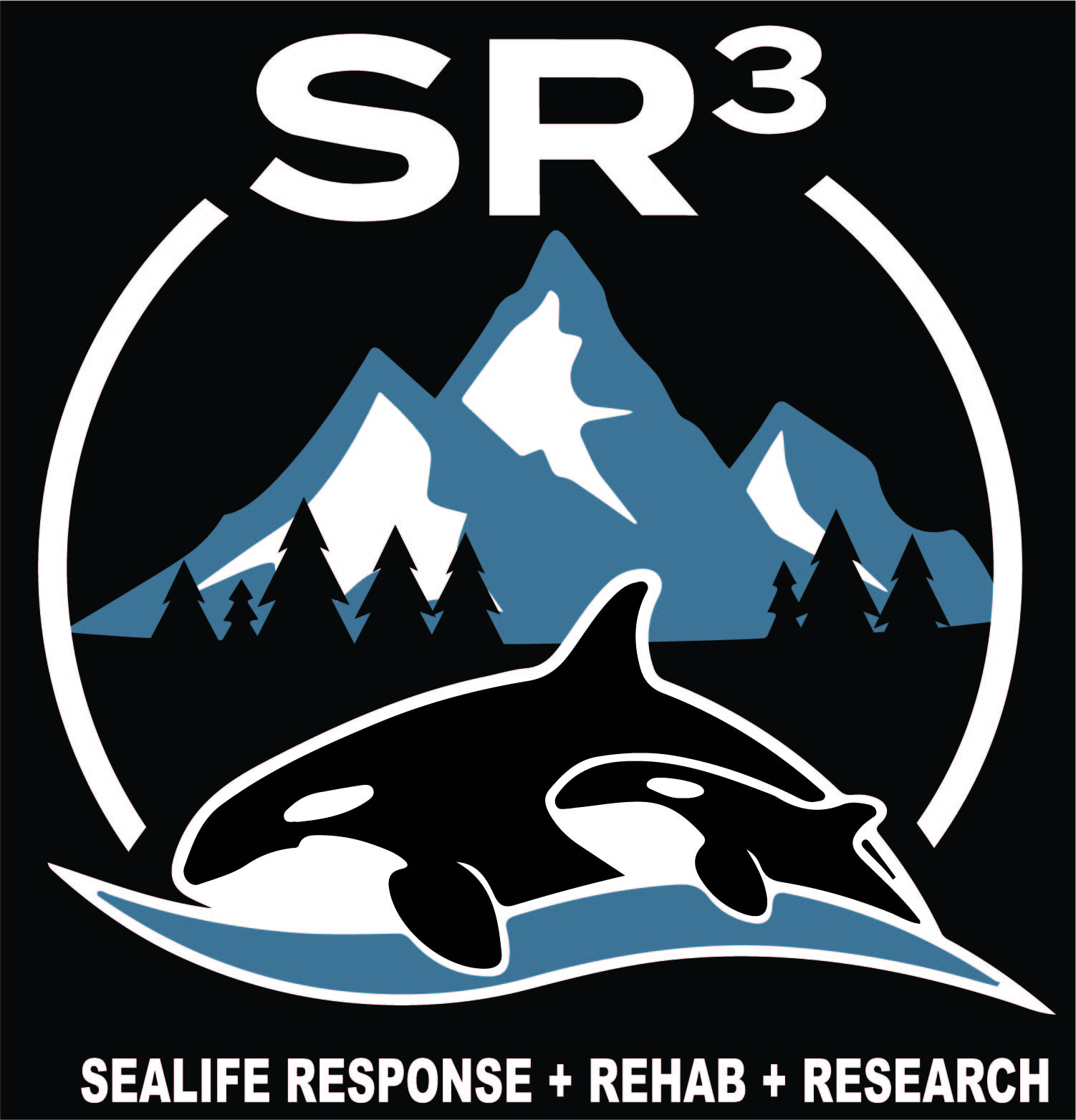 SeaLife R3 logo
