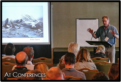 Coastal Raptors Executive Director Dan Varland presenting at a conference